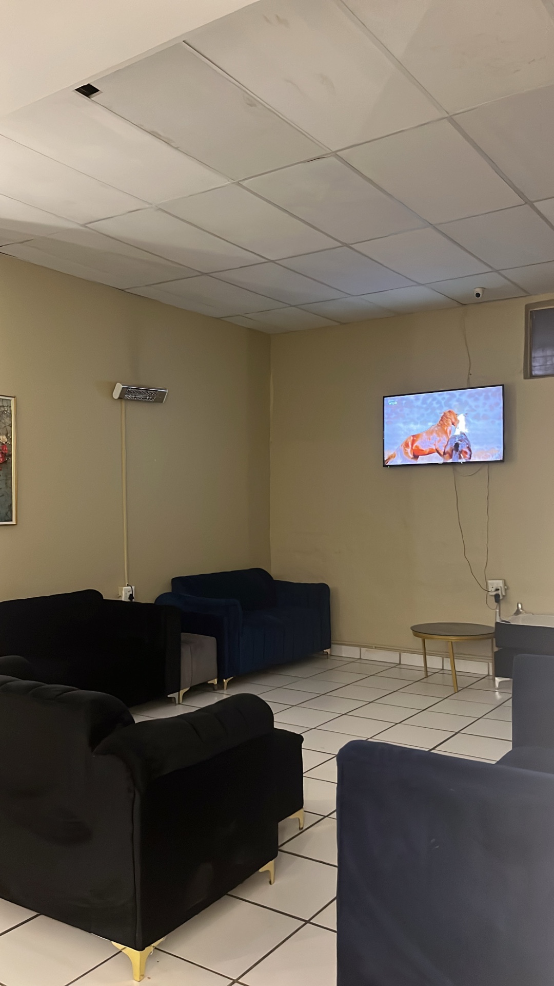 TV room with mounted flat-screen and lounge sofas